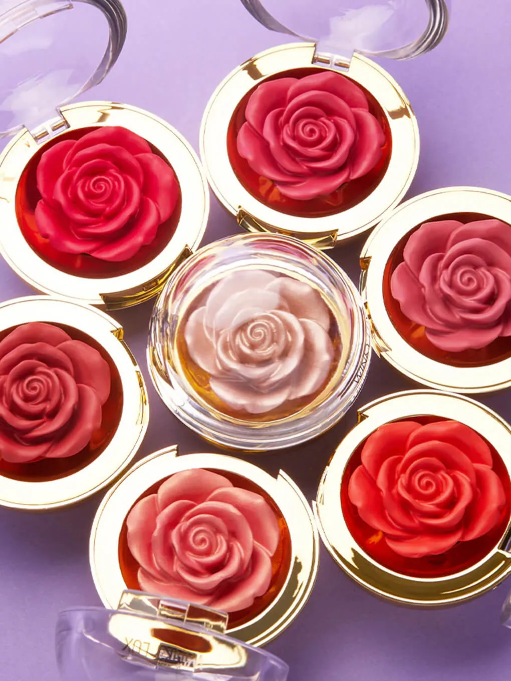 Bronze Blush Highlight Set