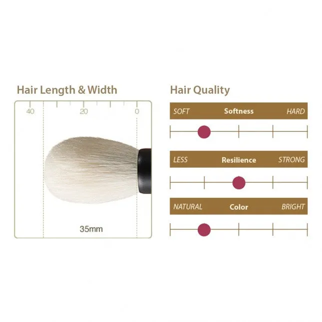Chikuhodo T-4 Cheek Brush, Takumi Series