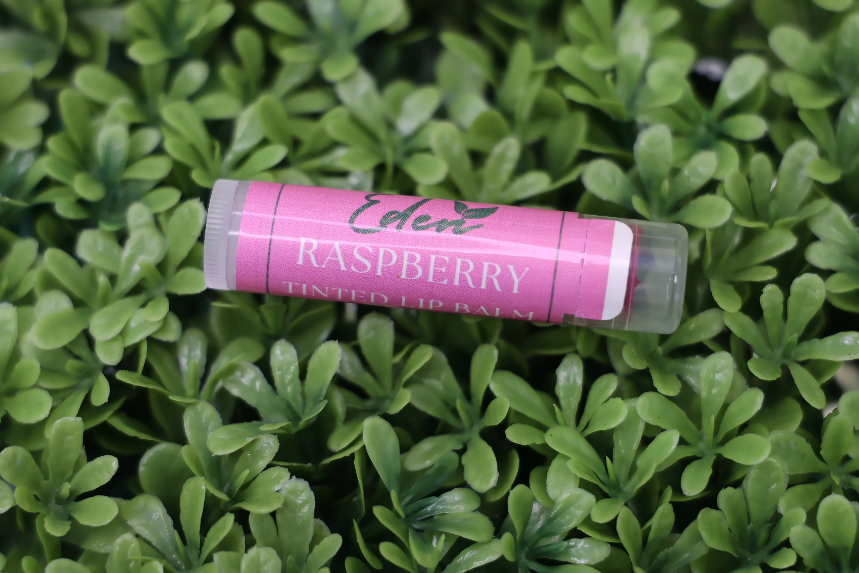 Tinted Lip Balm